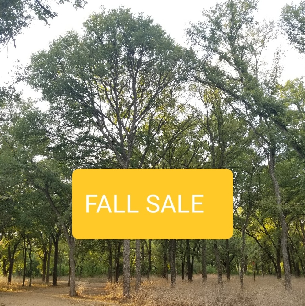 Buy one item at full price get one item half off!